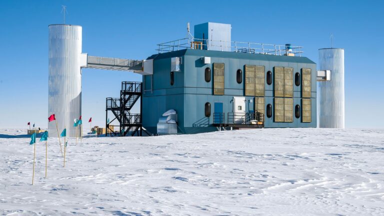 Nobel de ciencia 2026: optogenética, neutrinos y moléculas espejo